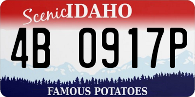 ID license plate 4B0917P