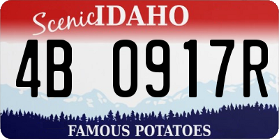 ID license plate 4B0917R