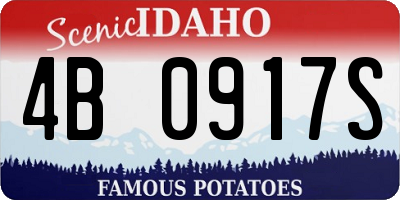 ID license plate 4B0917S