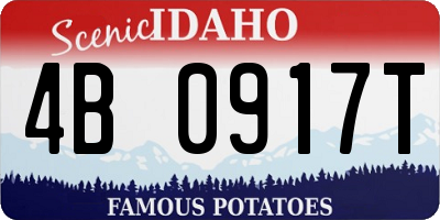 ID license plate 4B0917T
