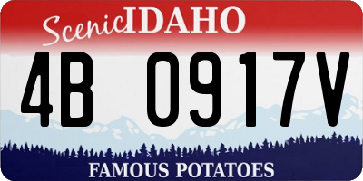 ID license plate 4B0917V