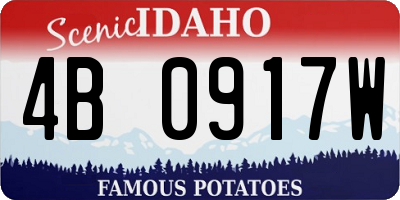 ID license plate 4B0917W