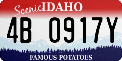ID license plate 4B0917Y