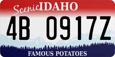 ID license plate 4B0917Z