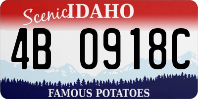 ID license plate 4B0918C