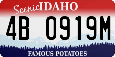 ID license plate 4B0919M