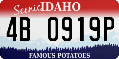 ID license plate 4B0919P