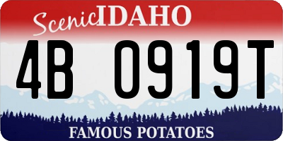 ID license plate 4B0919T