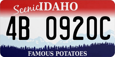 ID license plate 4B0920C