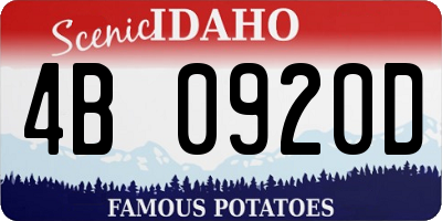 ID license plate 4B0920D