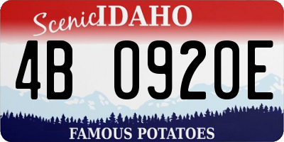 ID license plate 4B0920E