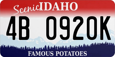 ID license plate 4B0920K