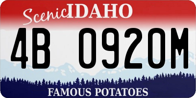 ID license plate 4B0920M
