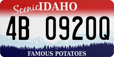 ID license plate 4B0920Q