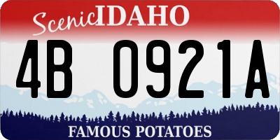 ID license plate 4B0921A