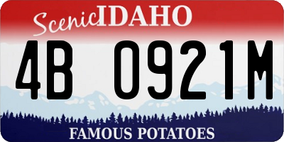 ID license plate 4B0921M