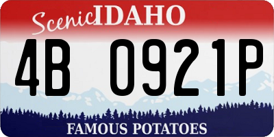 ID license plate 4B0921P