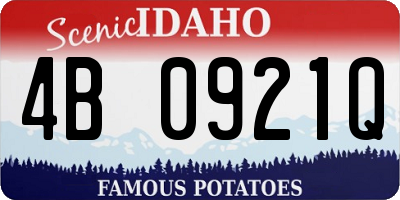 ID license plate 4B0921Q