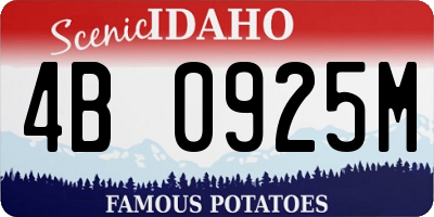 ID license plate 4B0925M