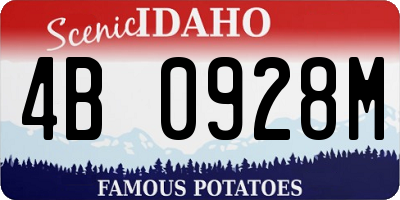 ID license plate 4B0928M