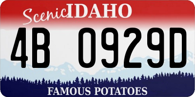 ID license plate 4B0929D