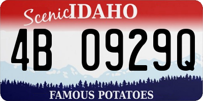 ID license plate 4B0929Q