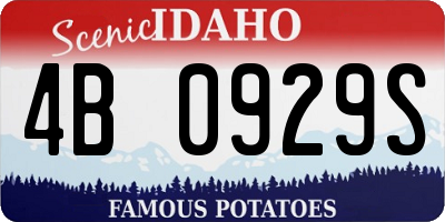 ID license plate 4B0929S