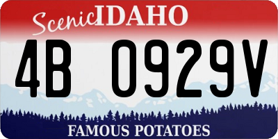 ID license plate 4B0929V