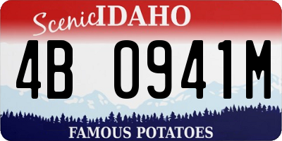 ID license plate 4B0941M