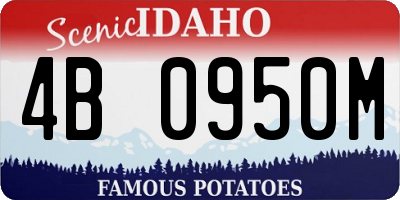ID license plate 4B0950M