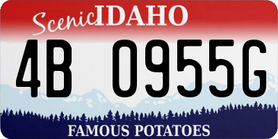 ID license plate 4B0955G