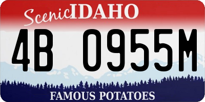 ID license plate 4B0955M