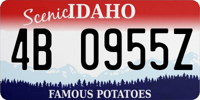 ID license plate 4B0955Z