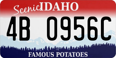 ID license plate 4B0956C