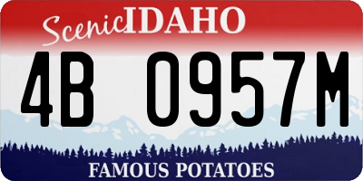 ID license plate 4B0957M