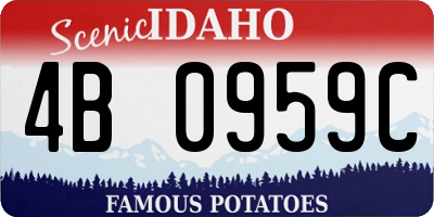 ID license plate 4B0959C