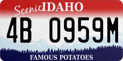 ID license plate 4B0959M