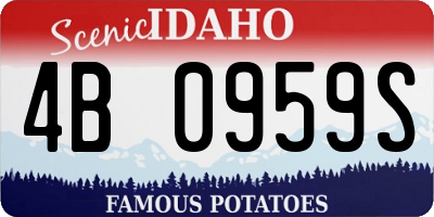 ID license plate 4B0959S