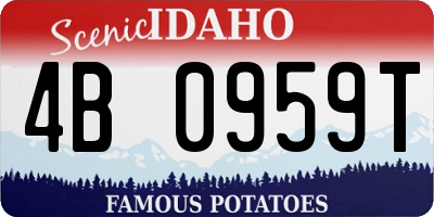ID license plate 4B0959T