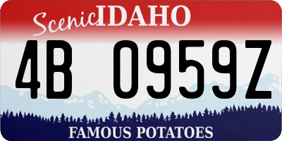 ID license plate 4B0959Z