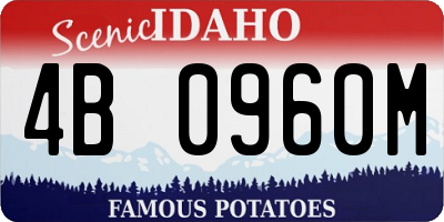 ID license plate 4B0960M