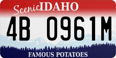 ID license plate 4B0961M