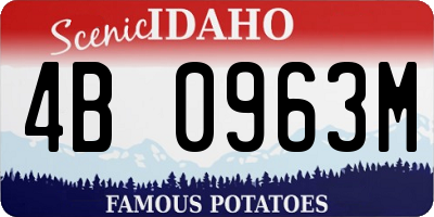 ID license plate 4B0963M