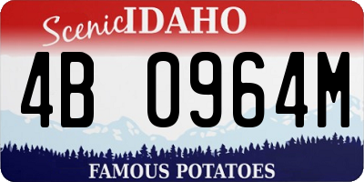 ID license plate 4B0964M