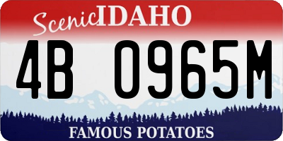 ID license plate 4B0965M