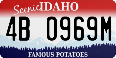 ID license plate 4B0969M