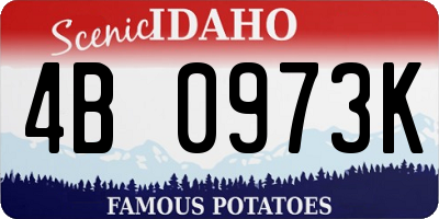ID license plate 4B0973K