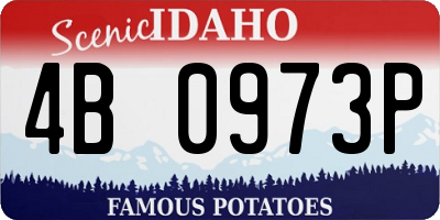 ID license plate 4B0973P