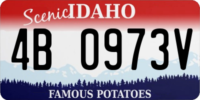 ID license plate 4B0973V