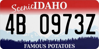ID license plate 4B0973Z